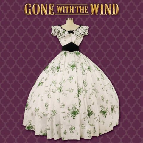 barbecue-gown